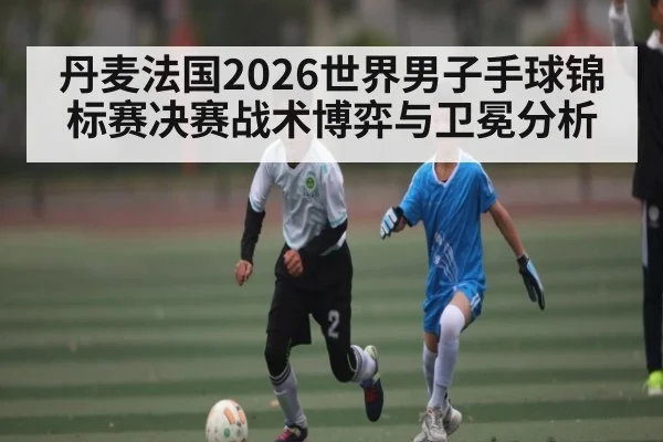 丹麦法国2026世界男子手球锦标赛决赛战术博弈与卫冕分析